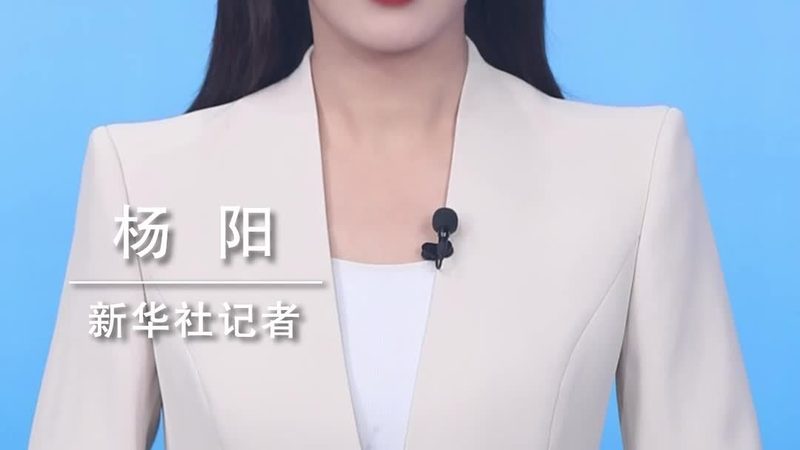 数据服务怎么做流程步骤